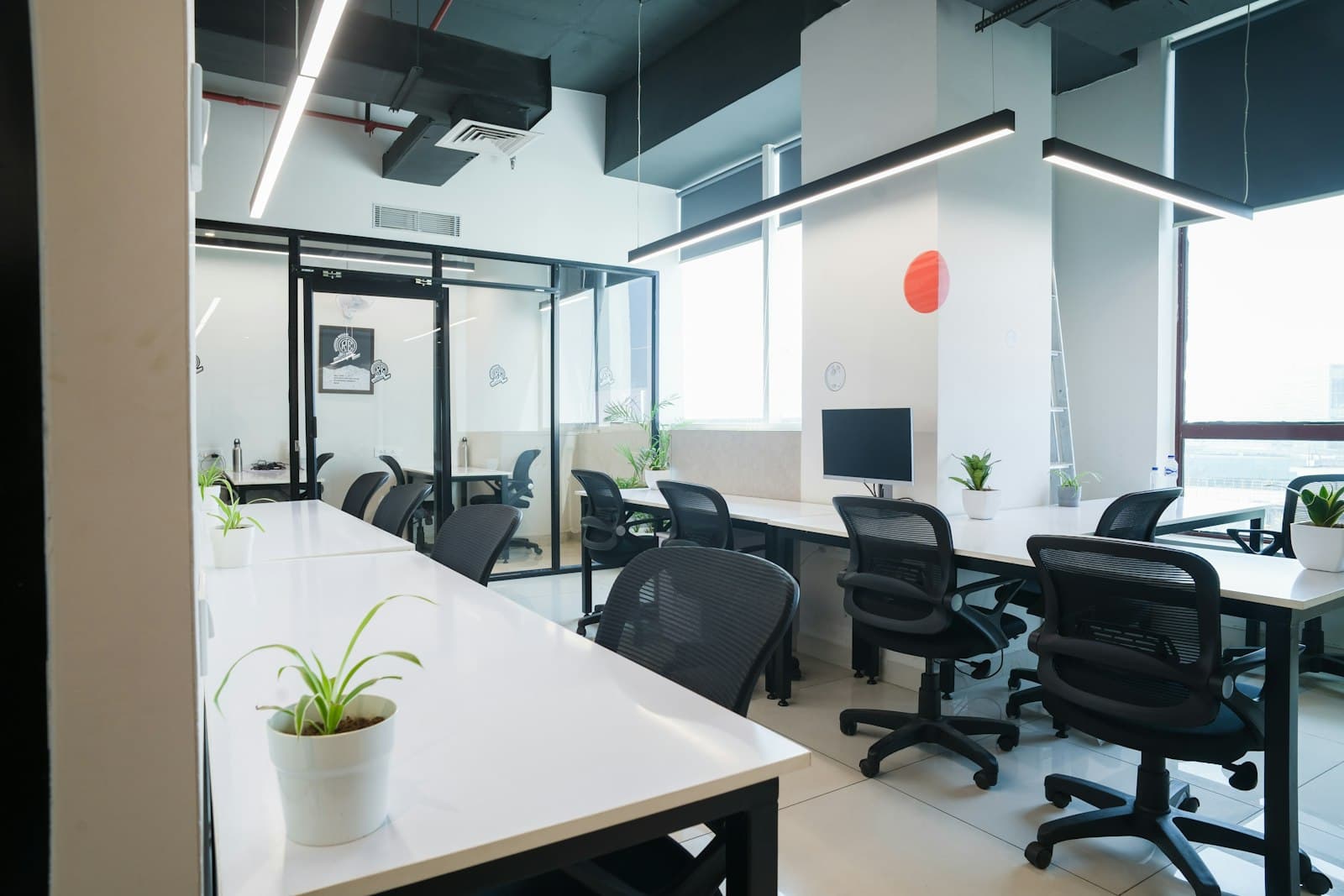 Bright coworking space with desks and large windows in Vienna's first district